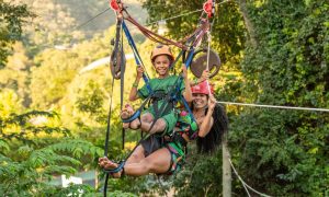 Tirolesa e Arvorismo